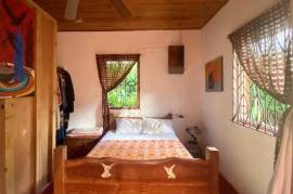 2 Bedrooms 1 Bathrooms, House for Sale in Port Antonio