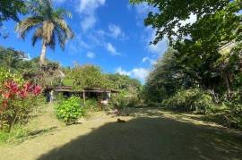 2 Bedrooms 1 Bathrooms, House for Sale in Port Antonio