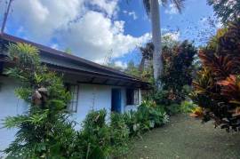 2 Bedrooms 1 Bathrooms, House for Sale in Port Antonio