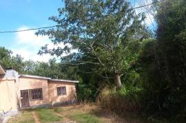 8 Bedrooms 4 Bathrooms, House for Sale in Mandeville