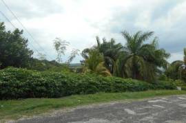 5 Bedrooms 6 Bathrooms, House for Private in Montego Bay