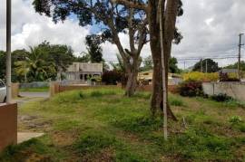 4 Bedrooms 3 Bathrooms, House for Sale in Mandeville