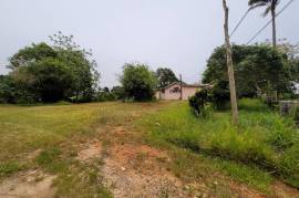 3 Bedrooms 2 Bathrooms, House for Sale in Mandeville