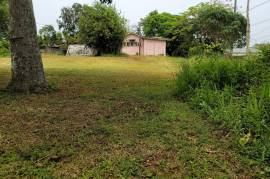 3 Bedrooms 2 Bathrooms, House for Sale in Mandeville