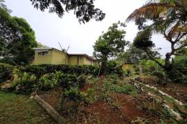 3 Bedrooms 2 Bathrooms, House for Sale in Mandeville