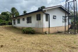 5 Bedrooms 4 Bathrooms, House for Sale in Mandeville