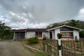 5 Bedrooms 4 Bathrooms, House for Sale in Mandeville