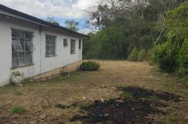 5 Bedrooms 4 Bathrooms, House for Sale in Mandeville