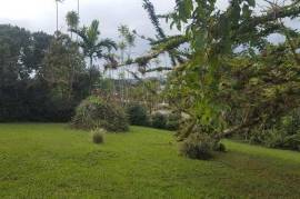 4 Bedrooms 3 Bathrooms, House for Sale in Mandeville