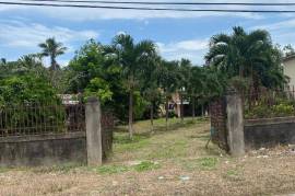 5 Bedrooms 4 Bathrooms, House for Sale in Linstead