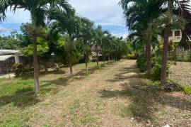 5 Bedrooms 4 Bathrooms, House for Sale in Linstead