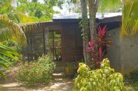 5 Bedrooms 6 Bathrooms, House for Sale in Negril