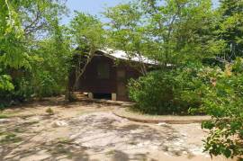 5 Bedrooms 6 Bathrooms, House for Sale in Negril