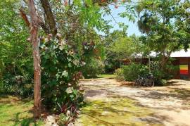 5 Bedrooms 6 Bathrooms, House for Sale in Negril