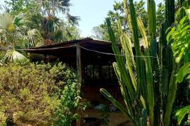 5 Bedrooms 6 Bathrooms, House for Sale in Negril