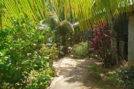 5 Bedrooms 6 Bathrooms, House for Sale in Negril