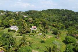 13 Bedrooms 13 Bathrooms, House for Sale in Ocho Rios