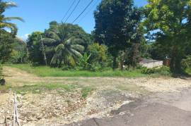 13 Bedrooms 13 Bathrooms, House for Sale in Ocho Rios