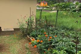 2 Bedrooms 2 Bathrooms, House for Sale in Moneague