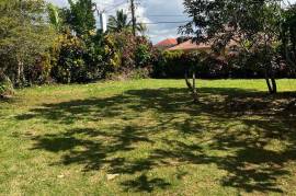 4 Bedrooms 3 Bathrooms, House for Sale in Mandeville