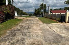 4 Bedrooms 3 Bathrooms, House for Sale in Mandeville