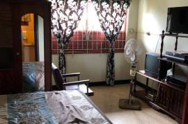 4 Bedrooms 2 Bathrooms, House for Sale in Mandeville