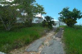 5 Bedrooms 4 Bathrooms, House for Sale in Mandeville