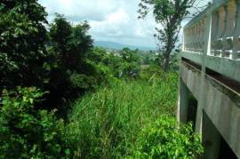 5 Bedrooms 4 Bathrooms, House for Sale in Mandeville