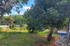 3 Bedrooms 3 Bathrooms, House for Sale in Mandeville