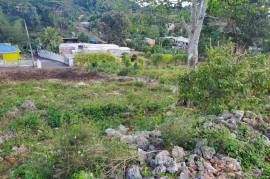 3 Bedrooms 3 Bathrooms, House for Sale in Mandeville