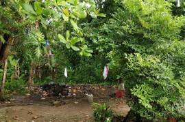 6 Bedrooms 3 Bathrooms, House for Sale in Oracabessa