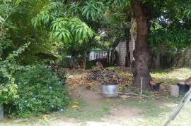 3 Bedrooms 2 Bathrooms, House for Sale in Kingston 10