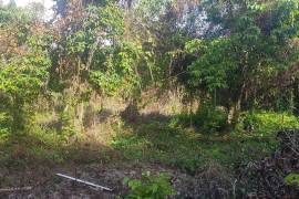 5 Bedrooms 4 Bathrooms, House for Sale in Boscobel