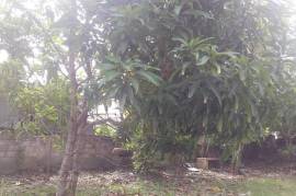 6 Bedrooms 3 Bathrooms, House for Sale in Lucea