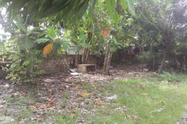 6 Bedrooms 3 Bathrooms, House for Sale in Lucea