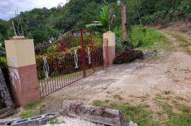 5 Bedrooms 4 Bathrooms, House for Sale in Browns Town