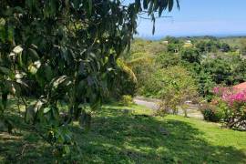 5 Bedrooms 2 Bathrooms, House for Sale in Browns Town