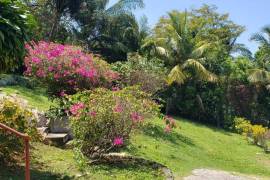 5 Bedrooms 2 Bathrooms, House for Sale in Browns Town