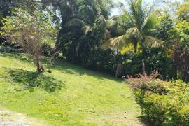 5 Bedrooms 2 Bathrooms, House for Sale in Browns Town