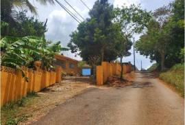 5 Bedrooms 3 Bathrooms, House for Sale in Mandeville