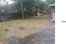 5 Bedrooms 4 Bathrooms, House for Sale in Mandeville