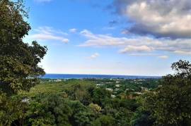 4 Bedrooms 4 Bathrooms, House for Sale in Montego Bay