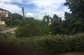 4 Bedrooms 3 Bathrooms, House for Sale in Mandeville