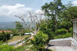 4 Bedrooms 3 Bathrooms, House for Sale in Mandeville