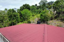 4 Bedrooms 3 Bathrooms, House for Sale in Mandeville