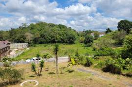 4 Bedrooms 3 Bathrooms, House for Sale in Mandeville