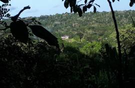 4 Bedrooms 2 Bathrooms, House for Sale in Port Maria