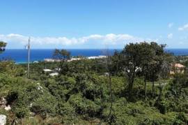 3 Bedrooms 2 Bathrooms, House for Sale in Runaway Bay