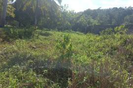 3 Bedrooms 2 Bathrooms, House for Sale in Bamboo