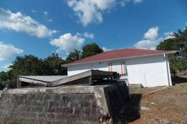 3 Bedrooms 2 Bathrooms, House for Sale in Mandeville